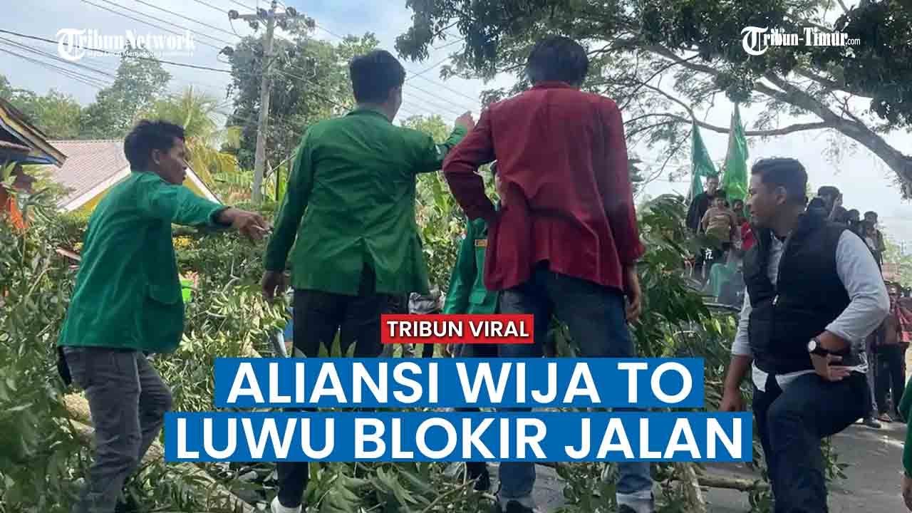 Aksi DOB Luwu Raya-Luwu Tengah Memanas di Bosso Walenrang Utara, Pohon Ditumbangkan ke Jalan