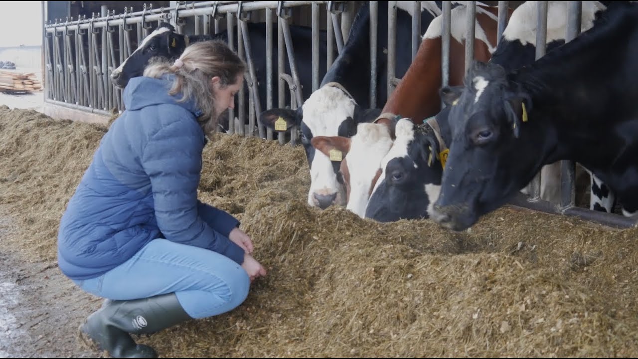 Großtierärztin: Einblicke in einen spannenden Beruf