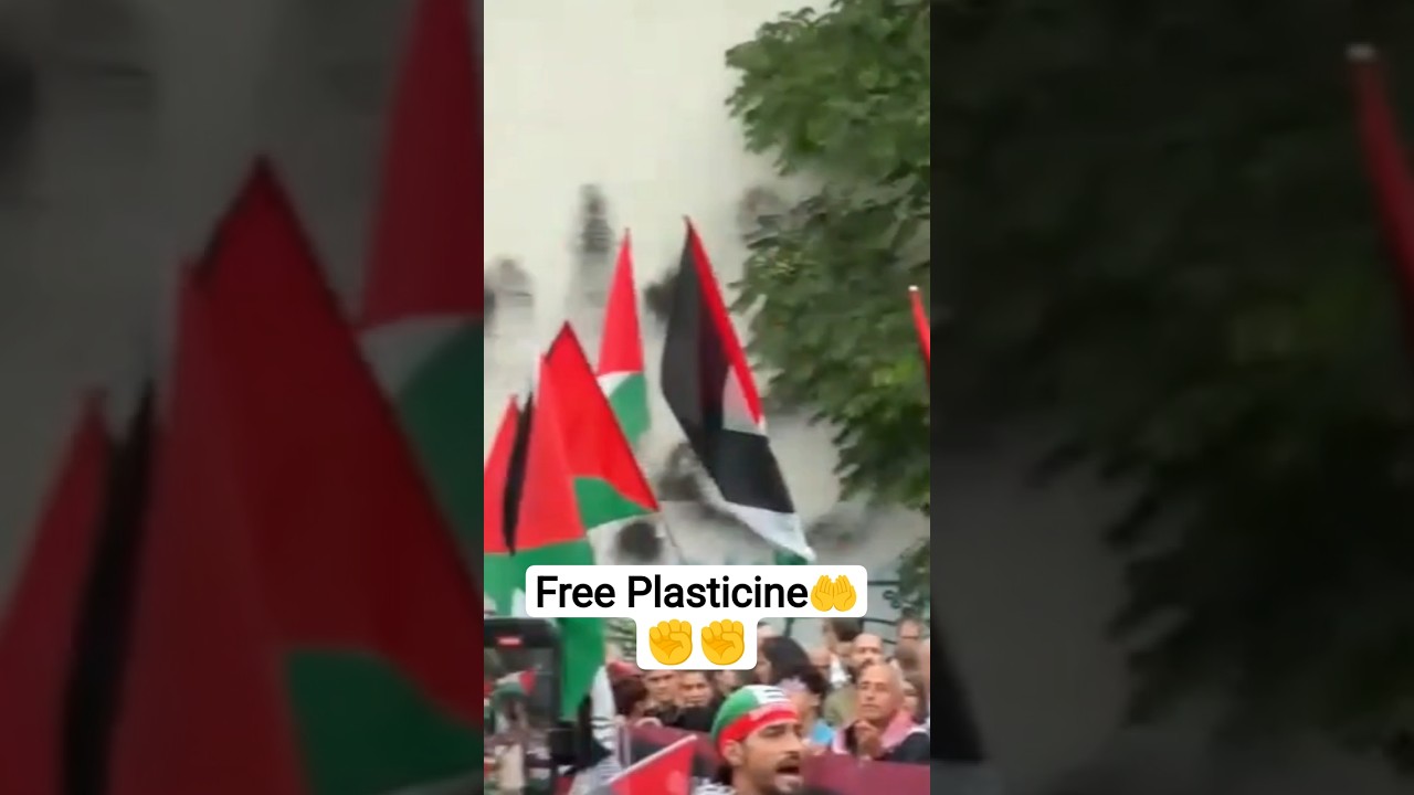 save Palestine#palestine#savepalestine#savegaza#yt_shorts#foryourpage