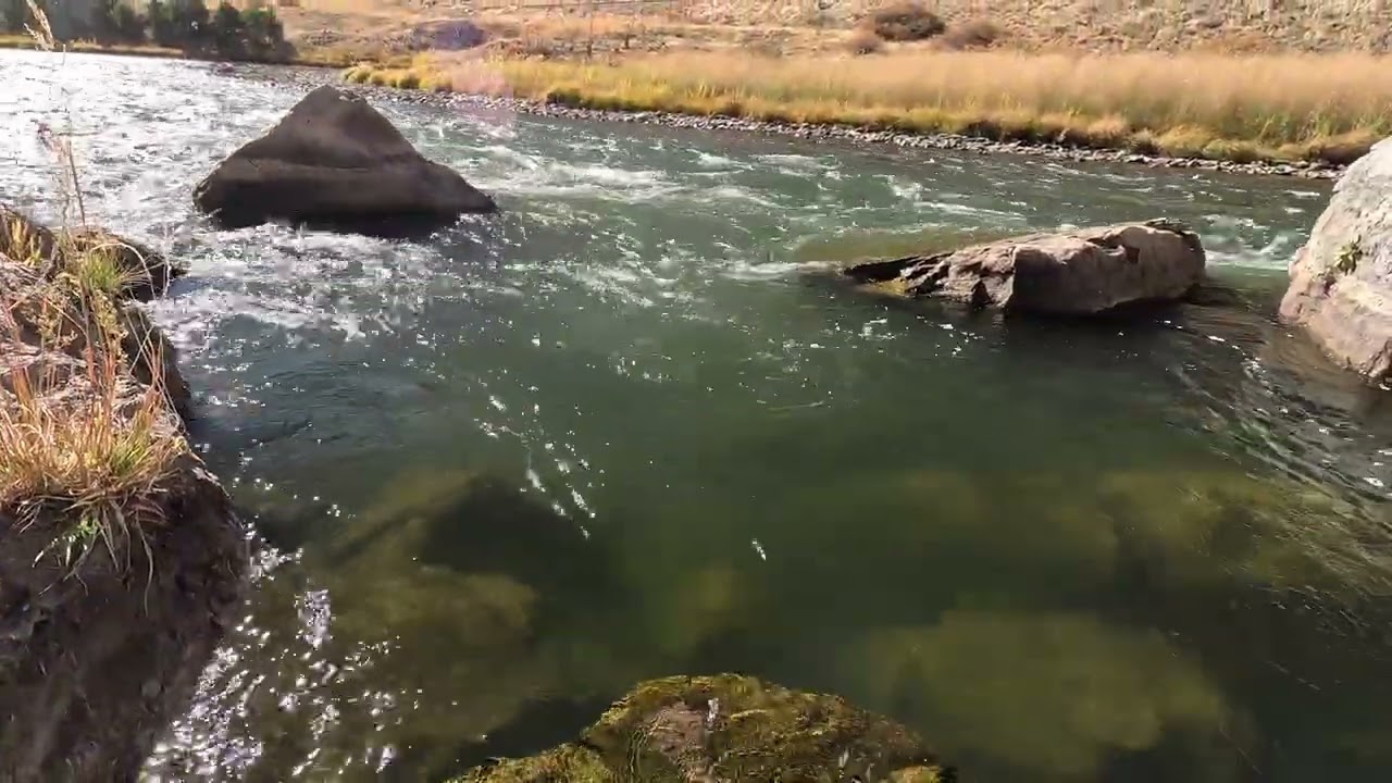 Streamer Fail Euro Nymphing Saves the Day | Wind River Travel Day 3