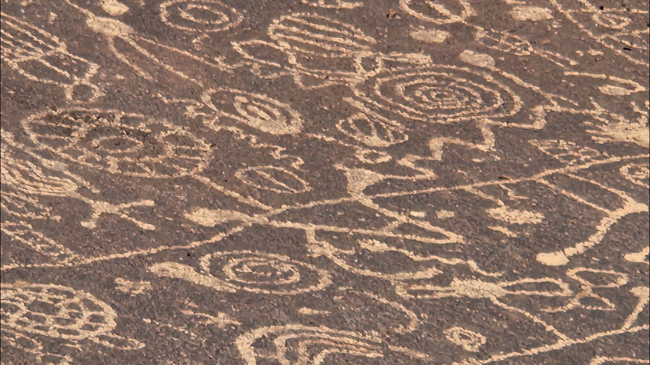 Petroglyphs, oldest trees, and a hot spring :)