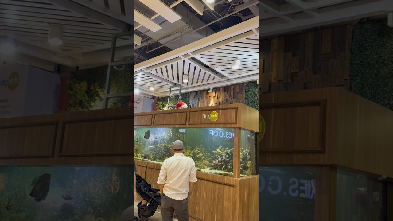 Feeding fish in a large aquarium 