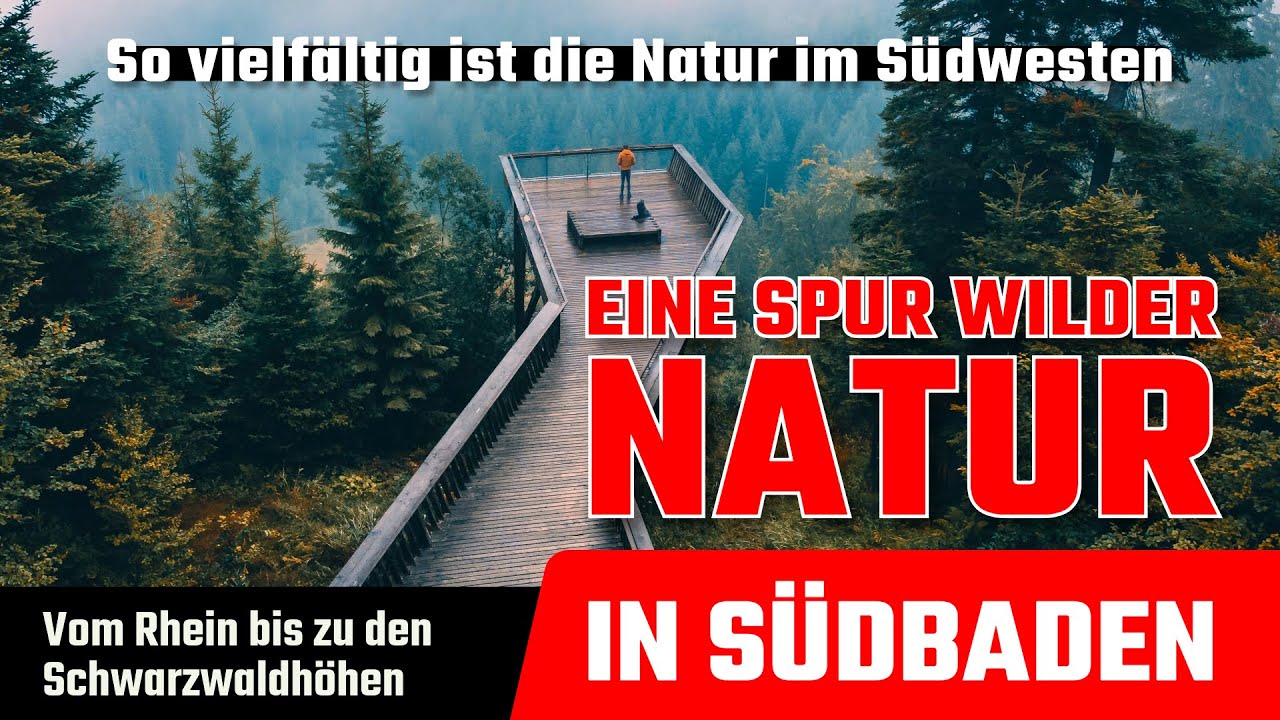 Wilde Ortenau &ndash; so vielf&auml;ltig ist unsere Natur