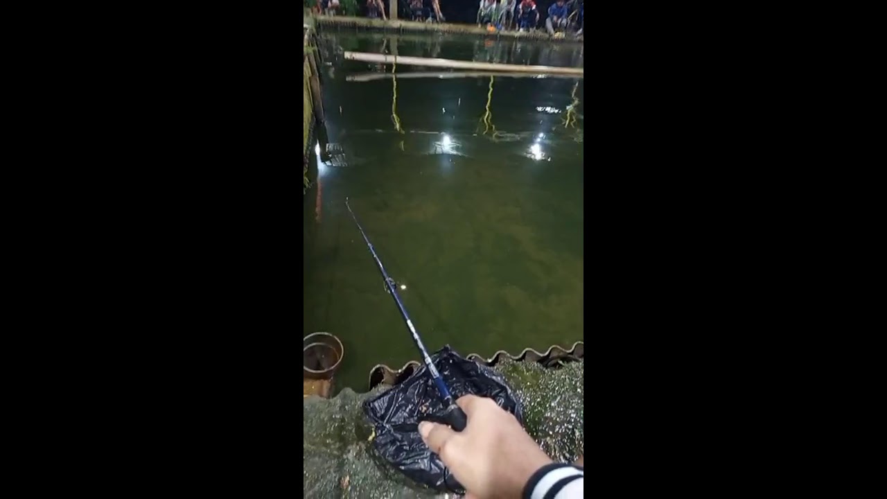 Yudi Black sedang live sekarang!mancing galatama lele dengan upan taon