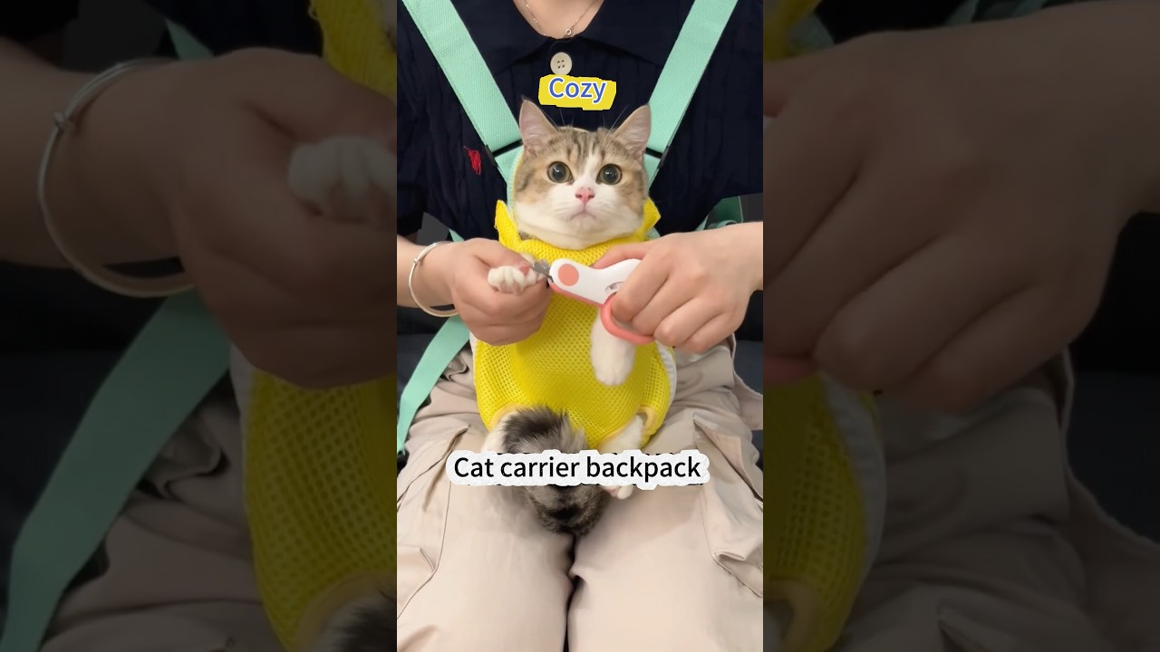 Cat carrier backpack 