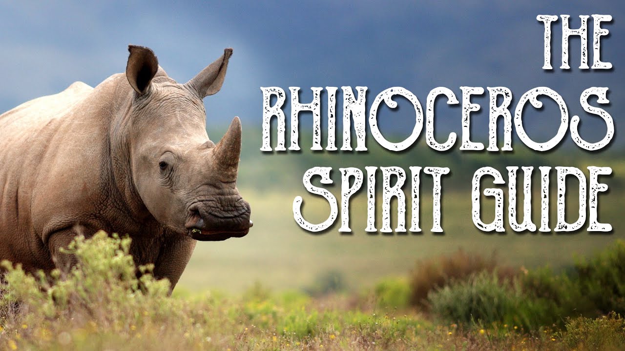 Rhino Spirit Guide - Ask the Spirit Guides Oracle - Totem Animal - Power Animal - Magical Crafting