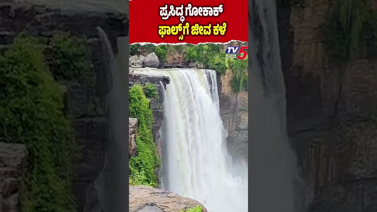 Gokak Falls Full Glory After Rain | ಪಶ್ಚಿಮ ಘಟ್ಟದಲ್ಲಿ ಭಾರೀ ಮಳೆಯ ಅಬ್ಬರ. ಜೀವಕಳೆ ಪಡೆದುಕೊಂಡ ಗೋಕಾಕ್ ಫಾಲ್ಸ್