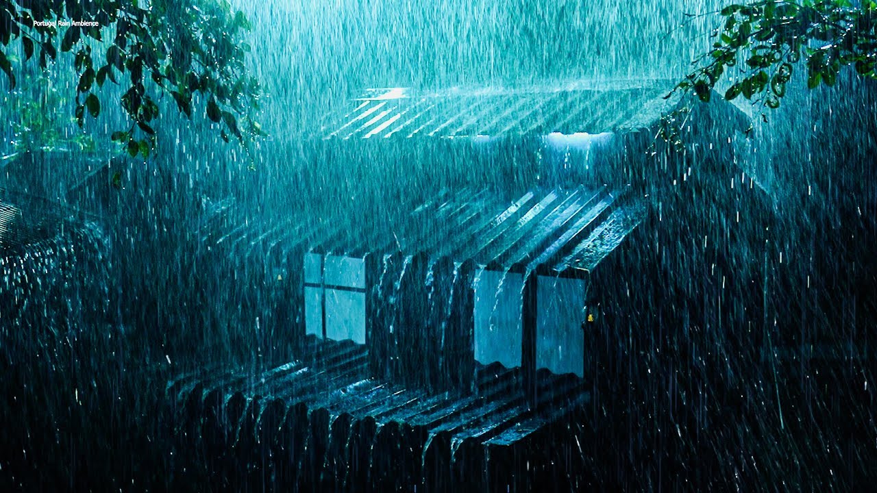 Barulho de Chuva para Dormir Profundamente e Acalma à Alma ⛈ Som de Chuva Vento e Trovões à Noite