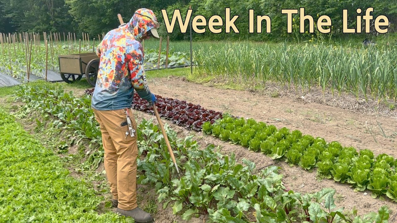 Week in the Life of Our Farming Family