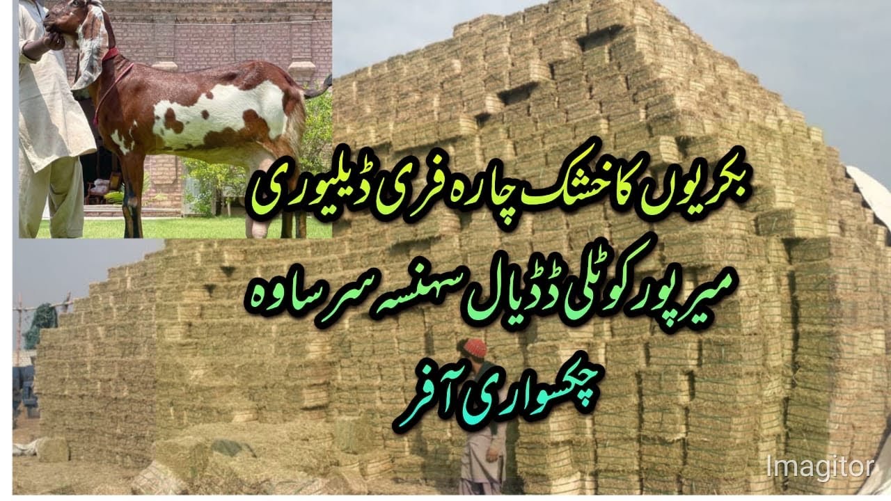 Free Delivery Khushak Chara Misa All Pakistan Azad Kashmir 