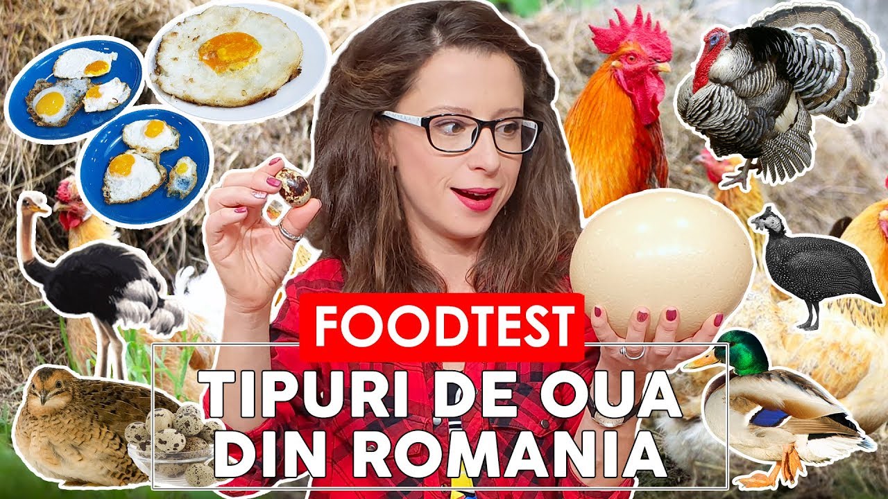 🥚 FOOD TEST OUA - Bibilica, Strut, Curca, Gasca, Rata, Prepelita si Gaina