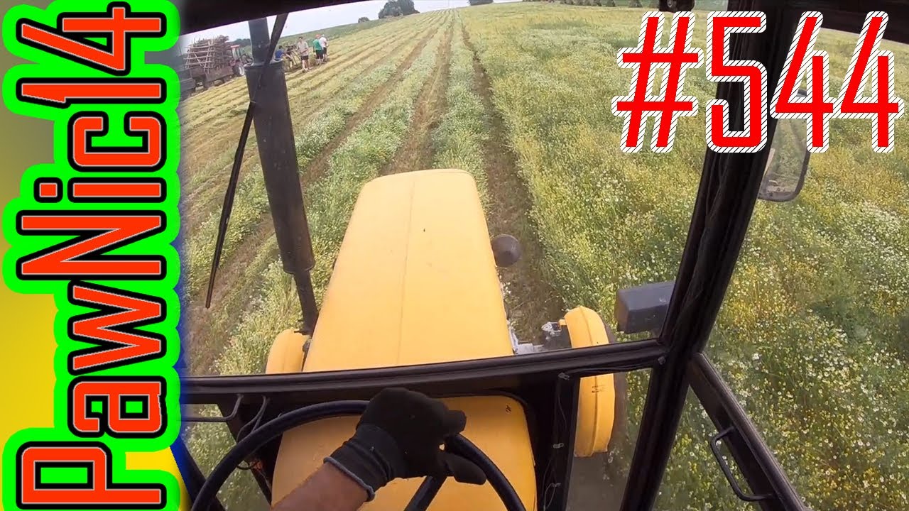 Wtopa za wtopą, czyli trudny zbiór rumianku cz.1 - Życie zwyczajnego rolnika #544