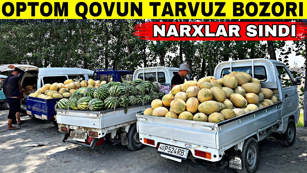 OPTOM QOVUN TARVUZ NARXLARI 2025 FARGONA UCH UY QOVUN TARVUZ BOZORIDAN