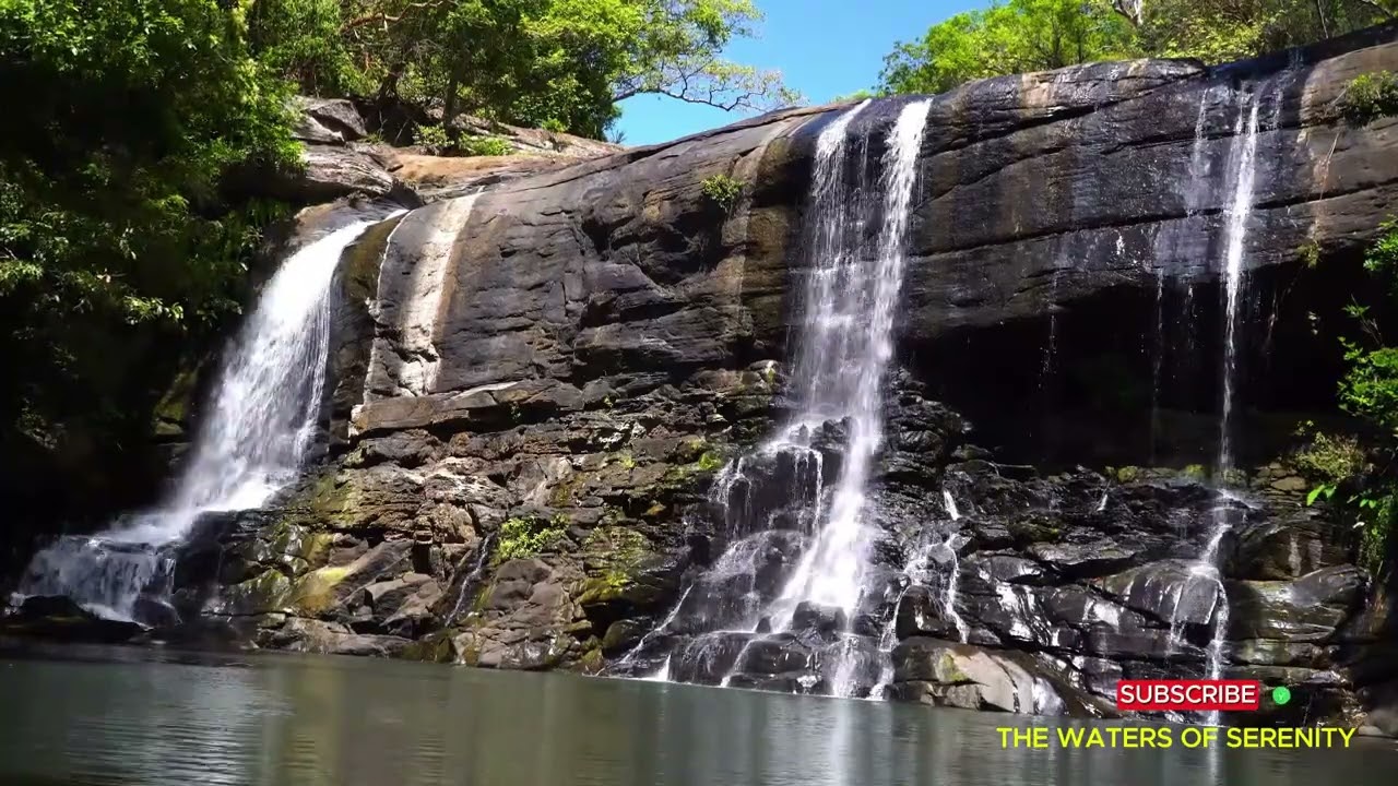 2 Hours Tropical Forest Waterfall 🌸 Relaxing Nature Sounds & Peaceful Jungle Serenity (No Music) 🌿