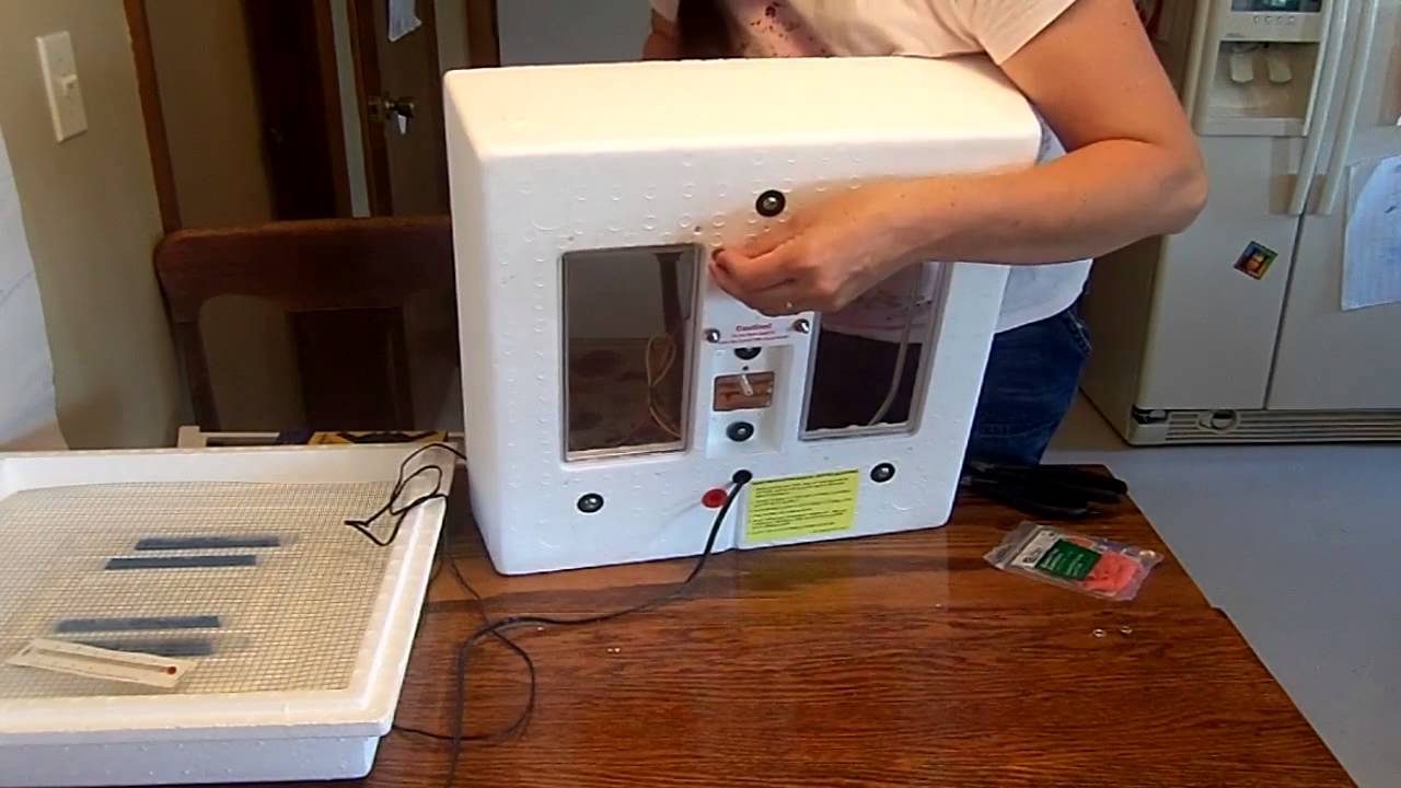 How to add a computer fan to an egg incubator