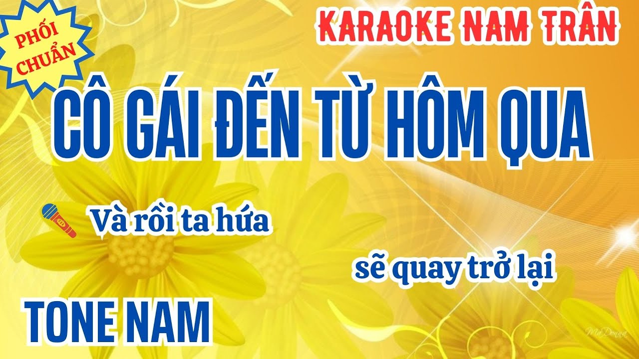 Karaoke Cô Gái Đến Từ Hôm Qua Tone Nam | Nam Trân