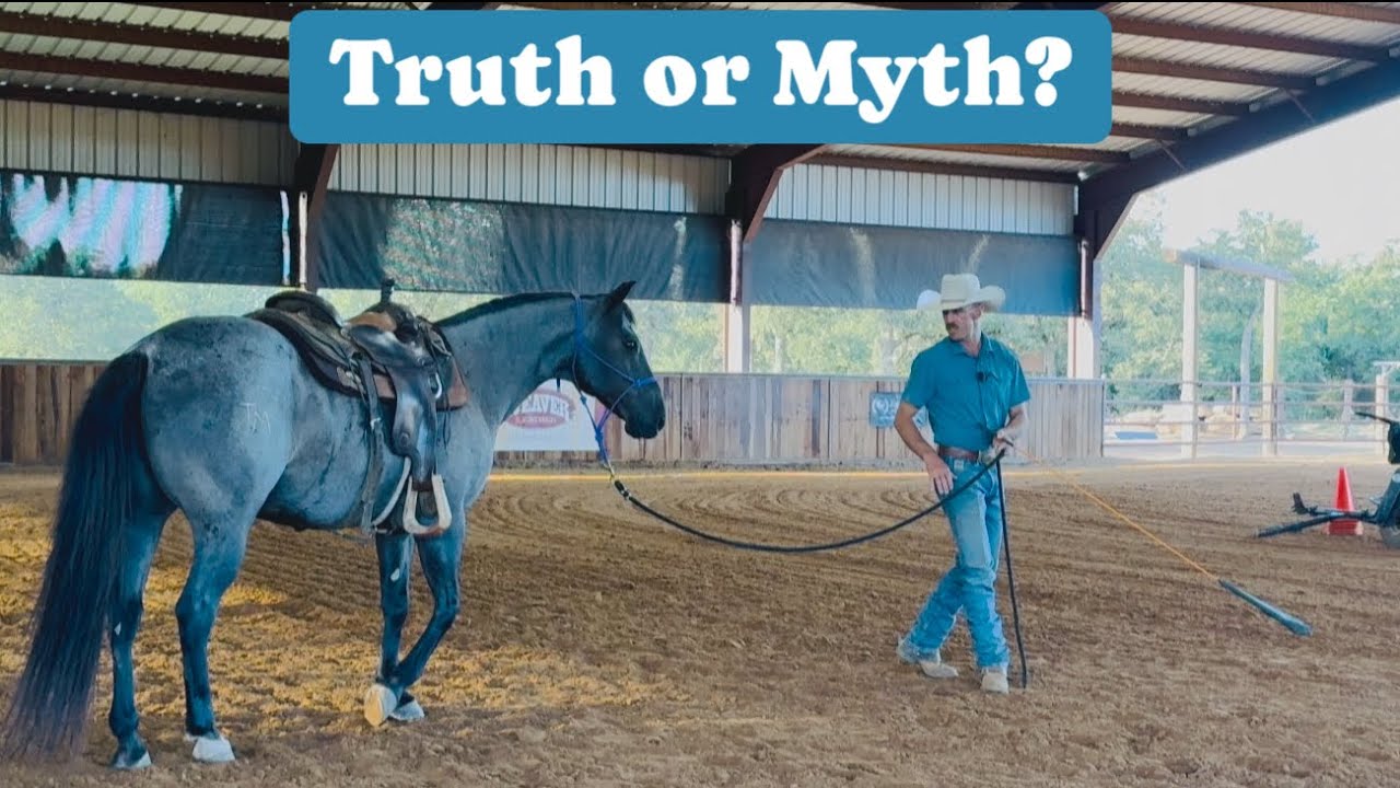 Friends say Hancock bred Horse will Buck her off!