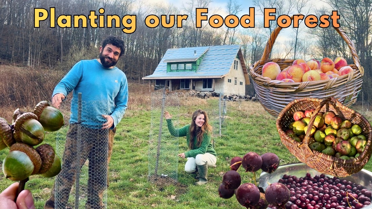 Planting our Food Forest!