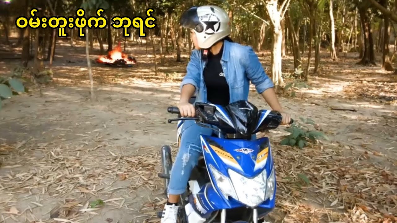 ဝမ်းတူးဖိုက် ဘုရင်