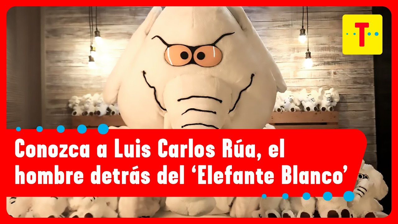 ¿Quién es 'Elefante Blanco', el NUEVO SENADOR electo que sorprendió en las urnas? | Cómo Amaneció