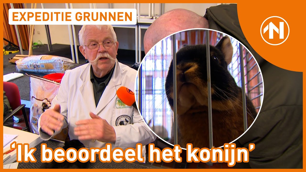 Ronald verwondert zich bij de Rammen- en Hanenshow in Muntendam