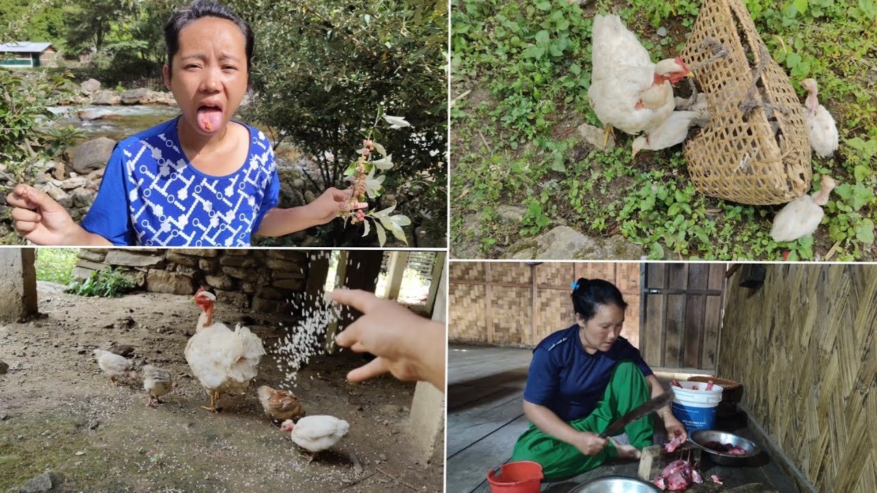 Village life of tribal people 🍃🛖 // #villagelife #arunachalprades  #sheet #shiyomi
