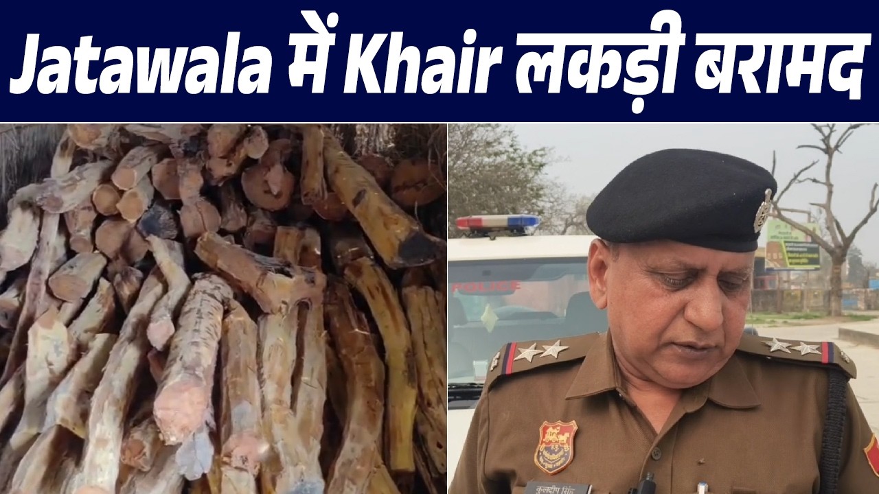 CIA की बड़ी रेड, घरों से 40 क्विंटल कीमती Khair लकड़ी बरामद