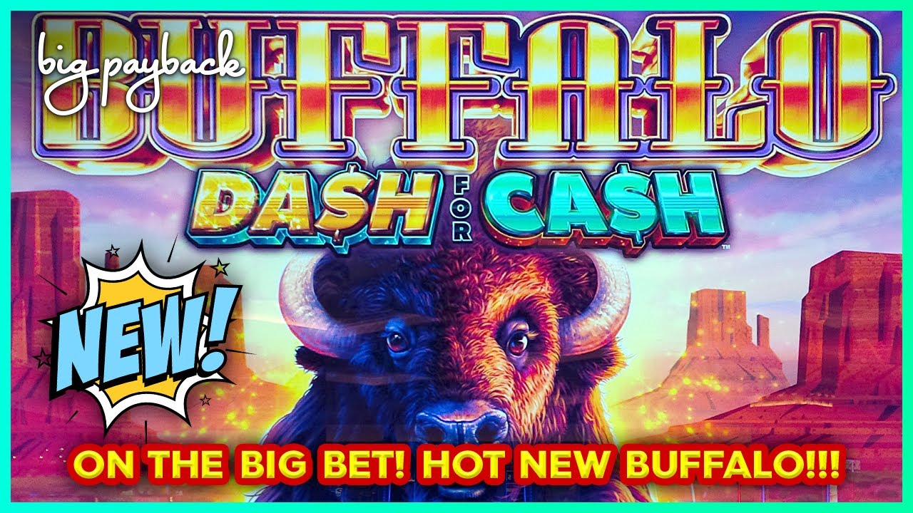 BUFFALO DASH FOR CASH! How to WIN BIG!!!