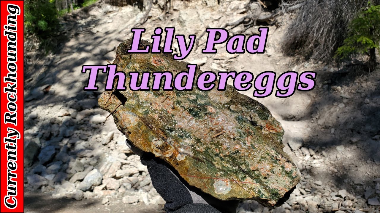 Lily Pad Thundereggs // Tiny Thundereggs With Amazing Color
