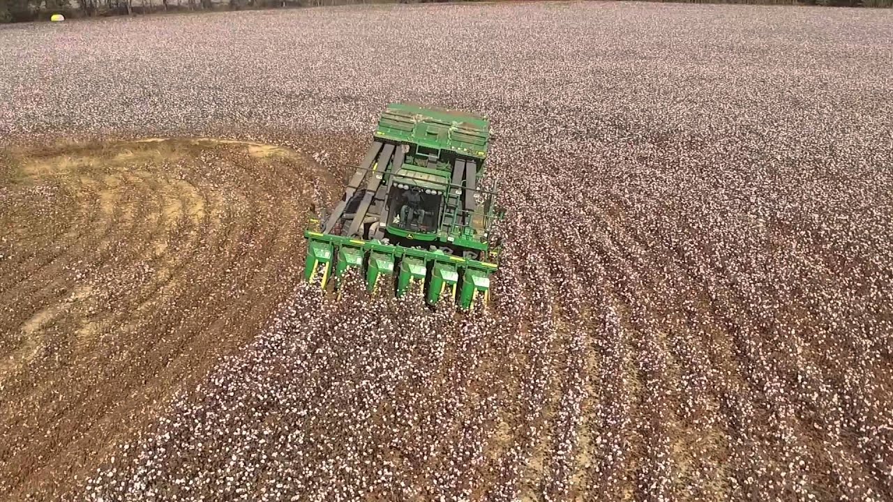 Crop Insurance and Cotton Support: Dr. Jody Campiche