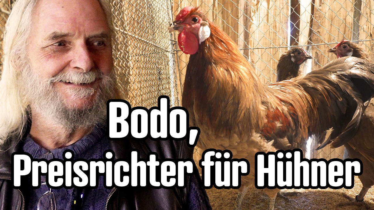 Hühner Rassen Tierbesprechung mit Zuchtwart Bodo
