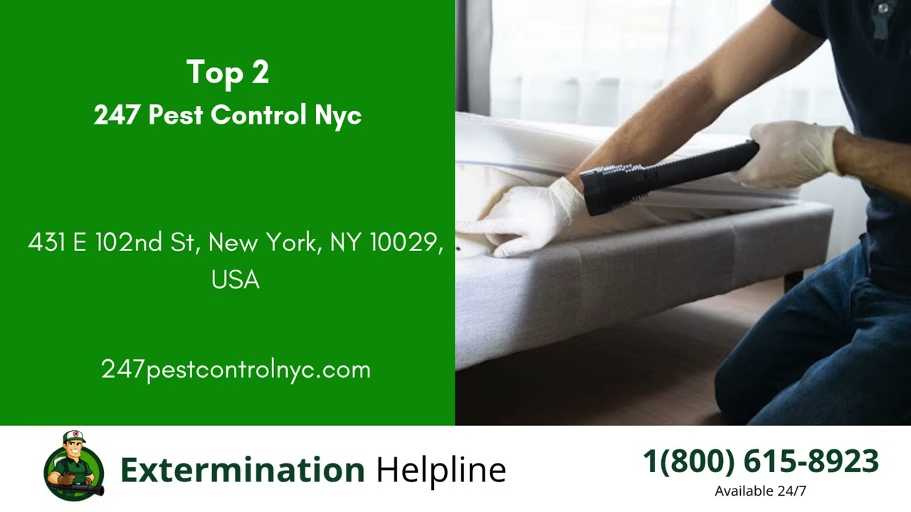 Top 3 Exterminators in Elmhurst