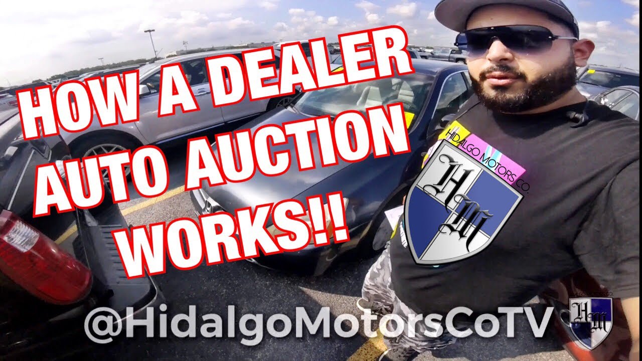 HOW A DEALER AUTO AUCTION WORKS - LIVE BIDDING AND LIVE EXAMPLE