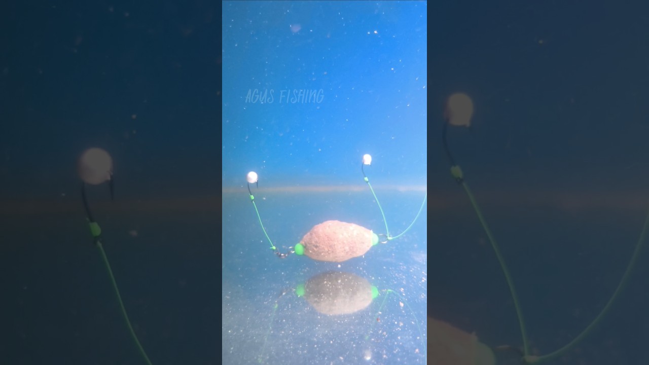 Bottom Fishing Rig For Tilapia 