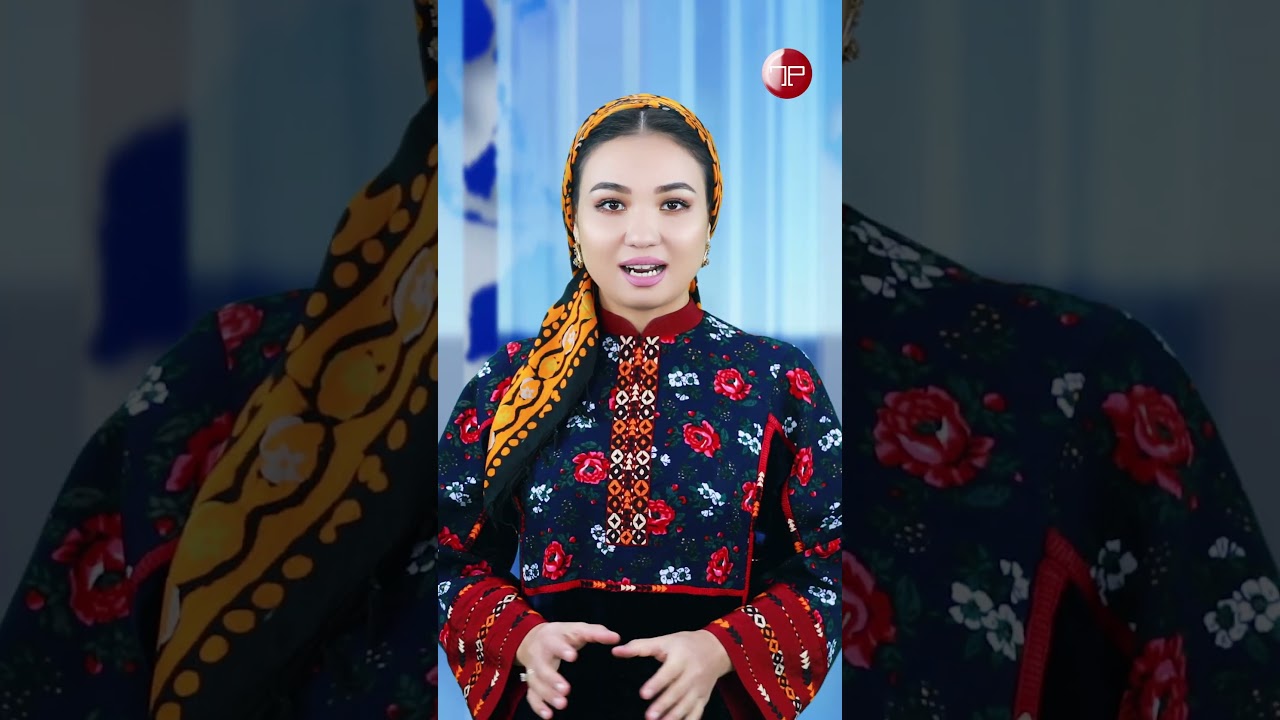 TÜRKMENISTANDA TÜRK WIZALARYNY RESMILEŞDIRMEK BOÝUNÇA OPERATOR ÇALŞYLDY