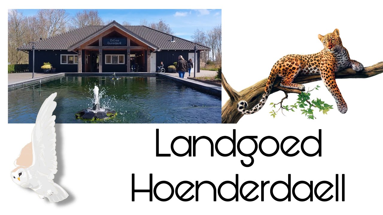 Dagje naar Landgoed Hoenderdaell | Dierentuin | DewiDenice