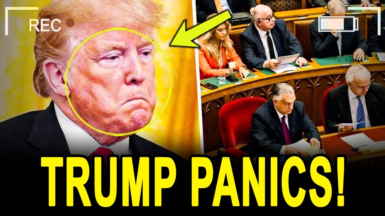 Trump Lawyers Concede Major Defeat Implicating Trump!!