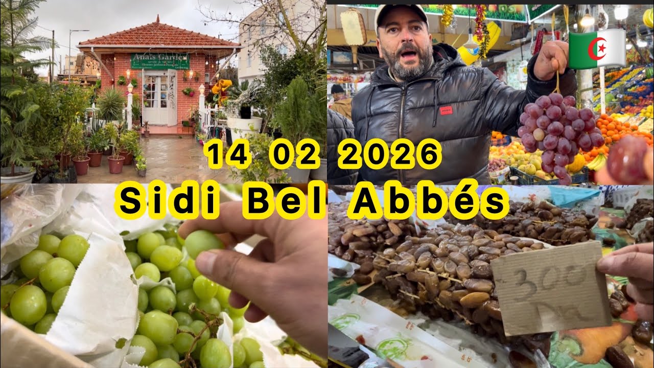 Retour de la pluie et le froid a sidi bel abbes dattes, fruits et l’attente du Ramadan