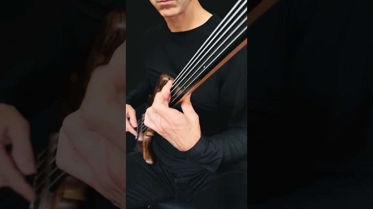 Fretless Bass Solo Playing - Oak Neck #fretlessbass #fretless #solobass