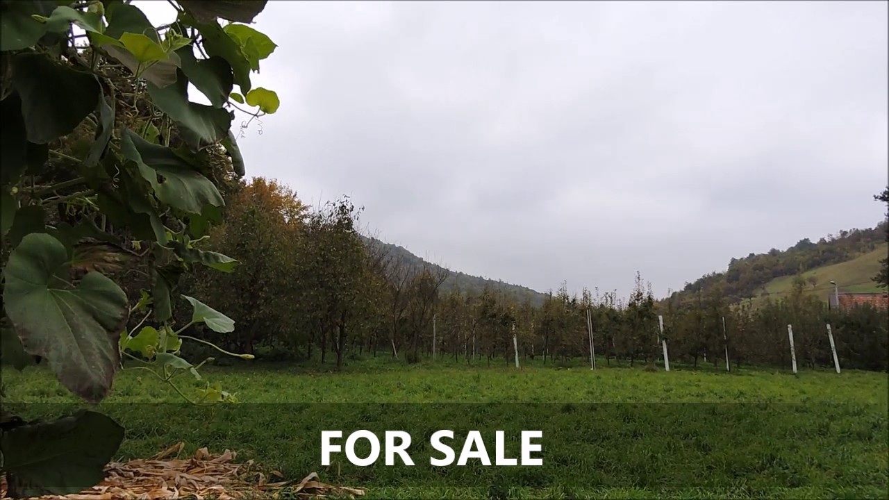 FOR SALE - Property near Sarajevo - Ilijas