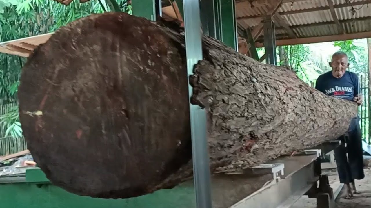 Amazing long sawn mahogany logs