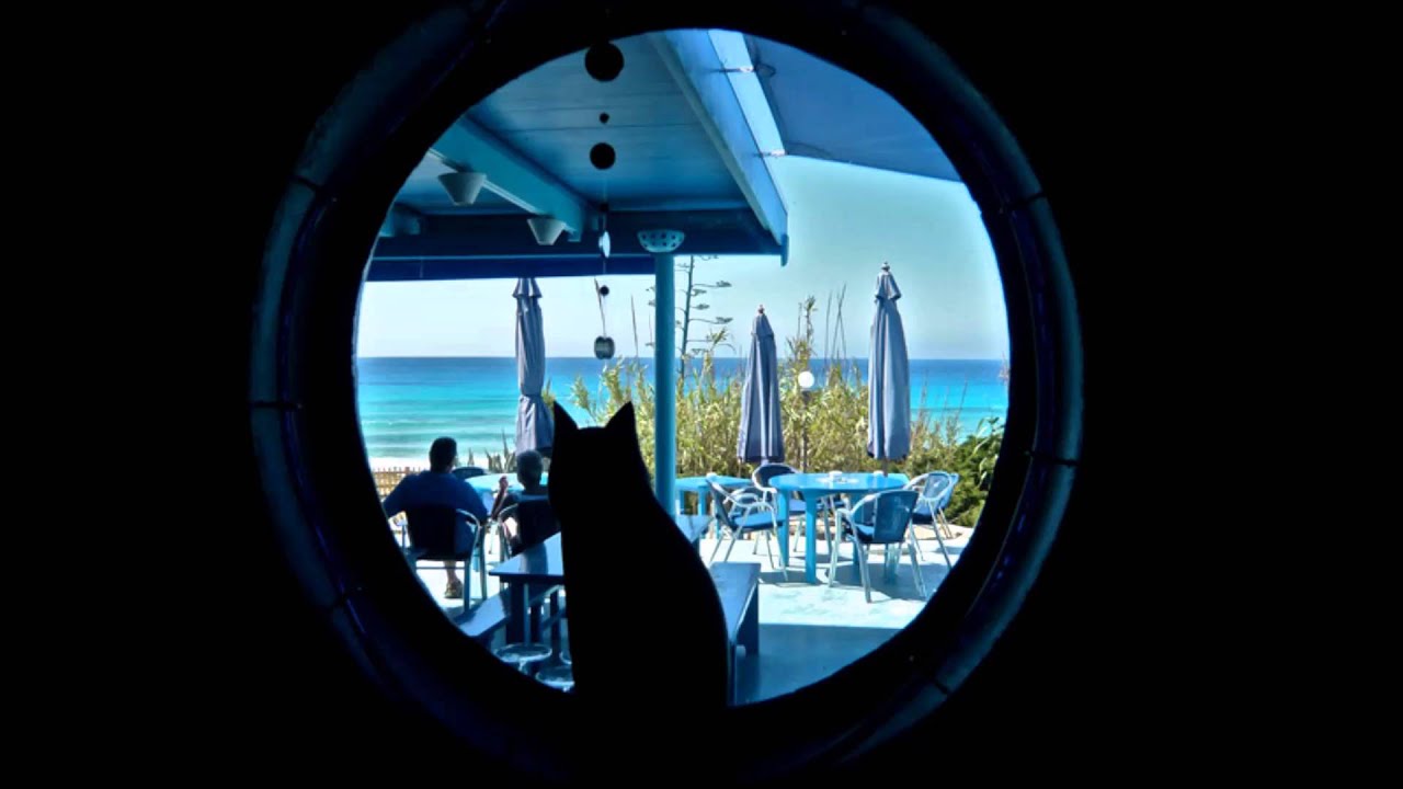 AFTERLIFE - BLUE BAR