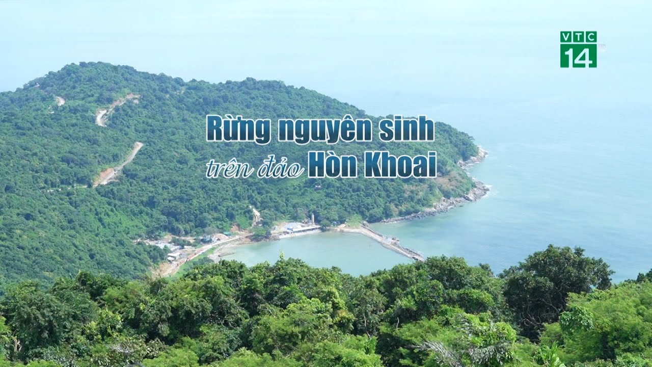 Rừng nguyên sinh trên đảo Hòn Khoai| VTC14