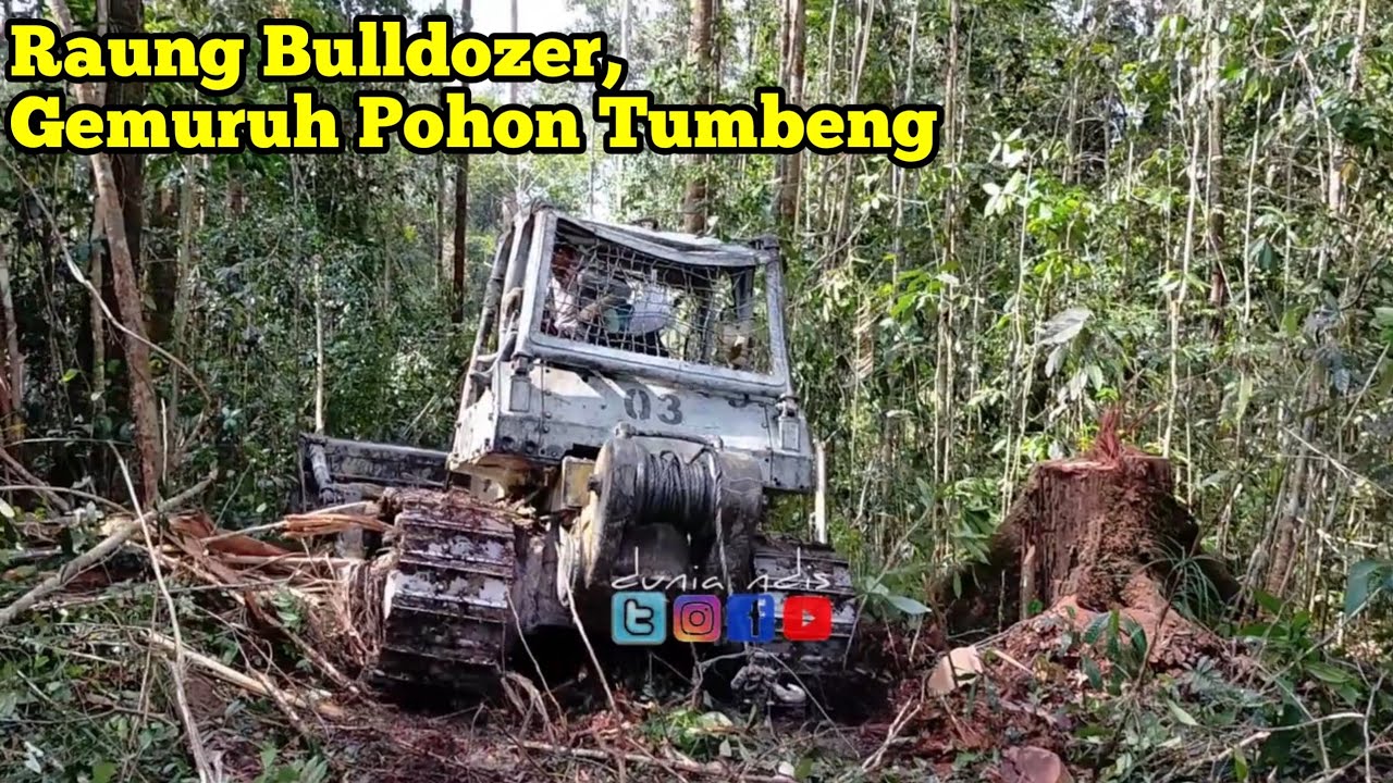 operator legend skill dewa alat berat skidder logging bulldozer tarik kayu dari hutan