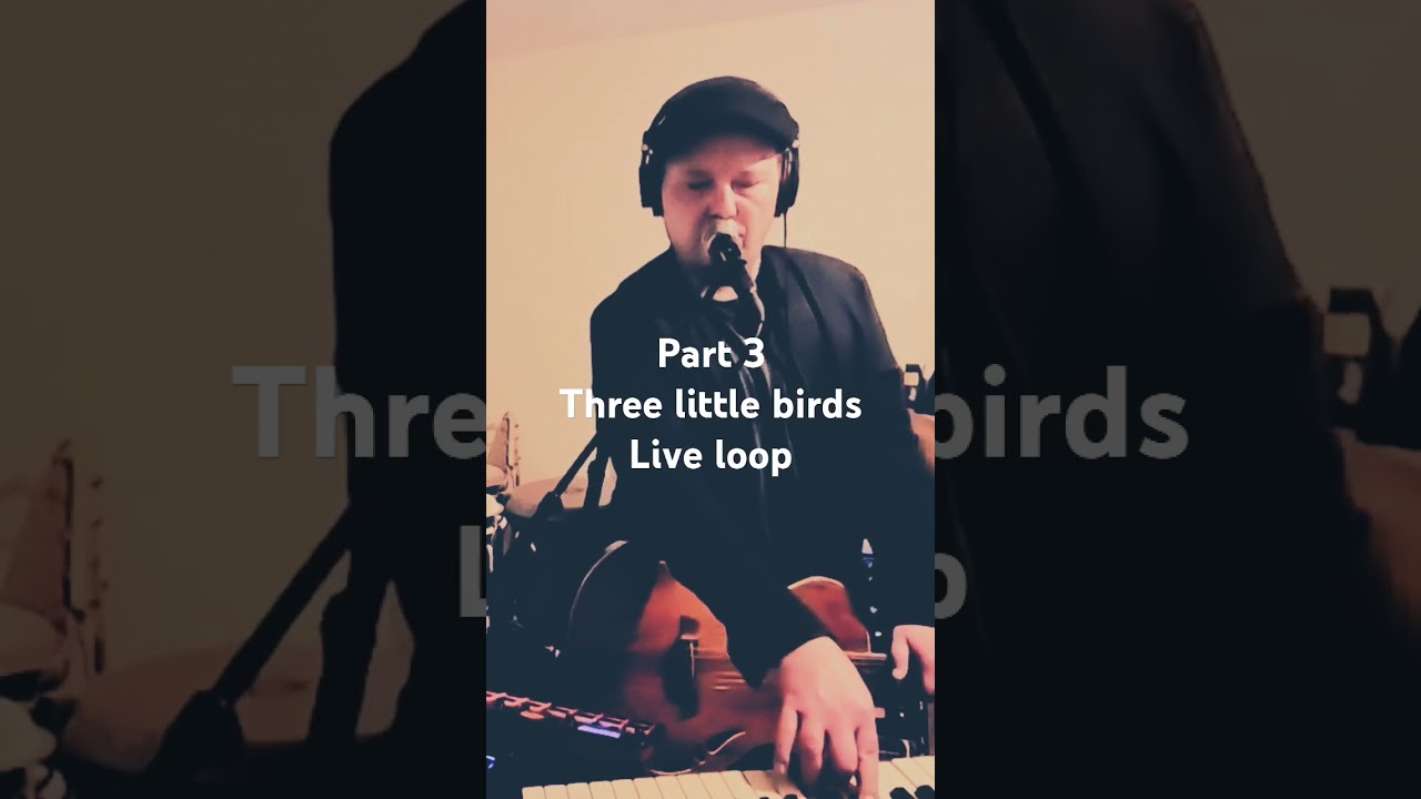 Full video on my channel #ukreggae #reggaerock #bobmarleytribute #livemusicrocks #livelooper #reggae
