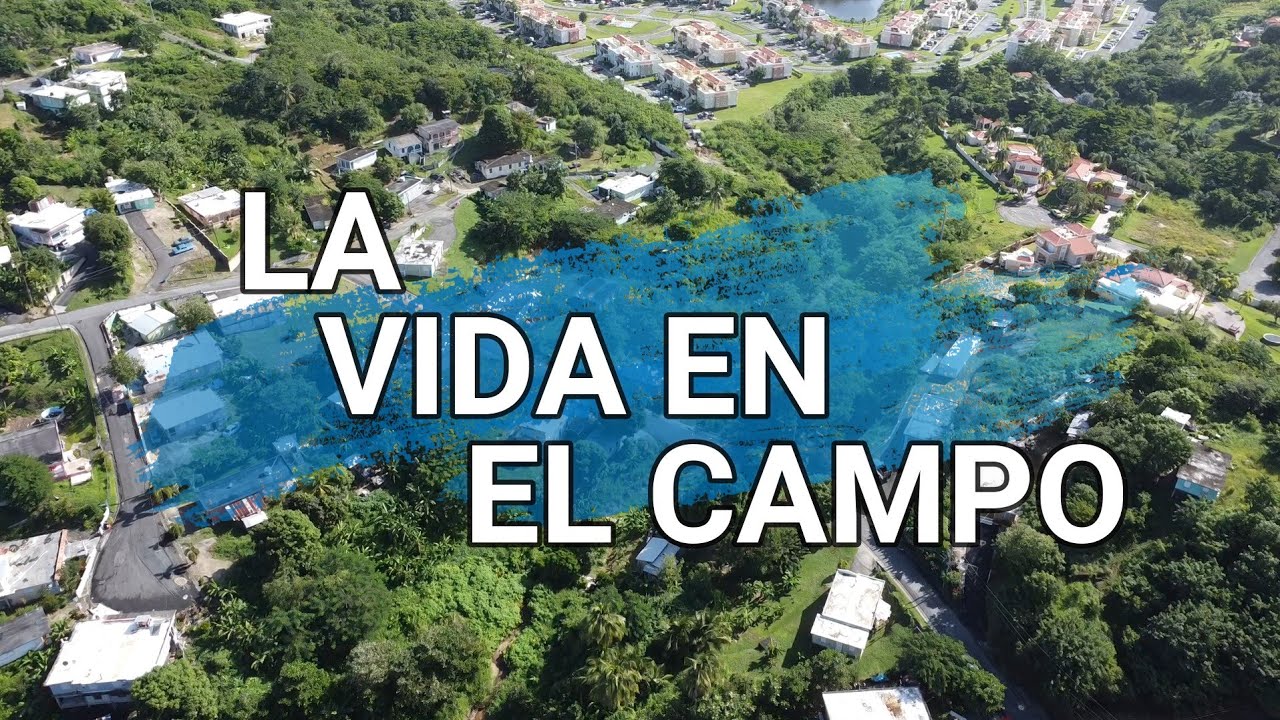 Asi Es La Vida En El Campo En Puerto Rico