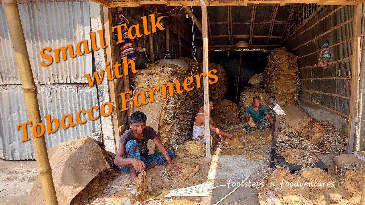 Rangpur Solo Trip 1: Small Talk with Tobacco Farmers | রংপুর ট্রিপ ১: তামাক চাষী‌দের সা‌থে কিছু কথা