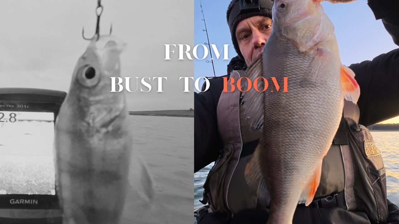 From Bust to Boom