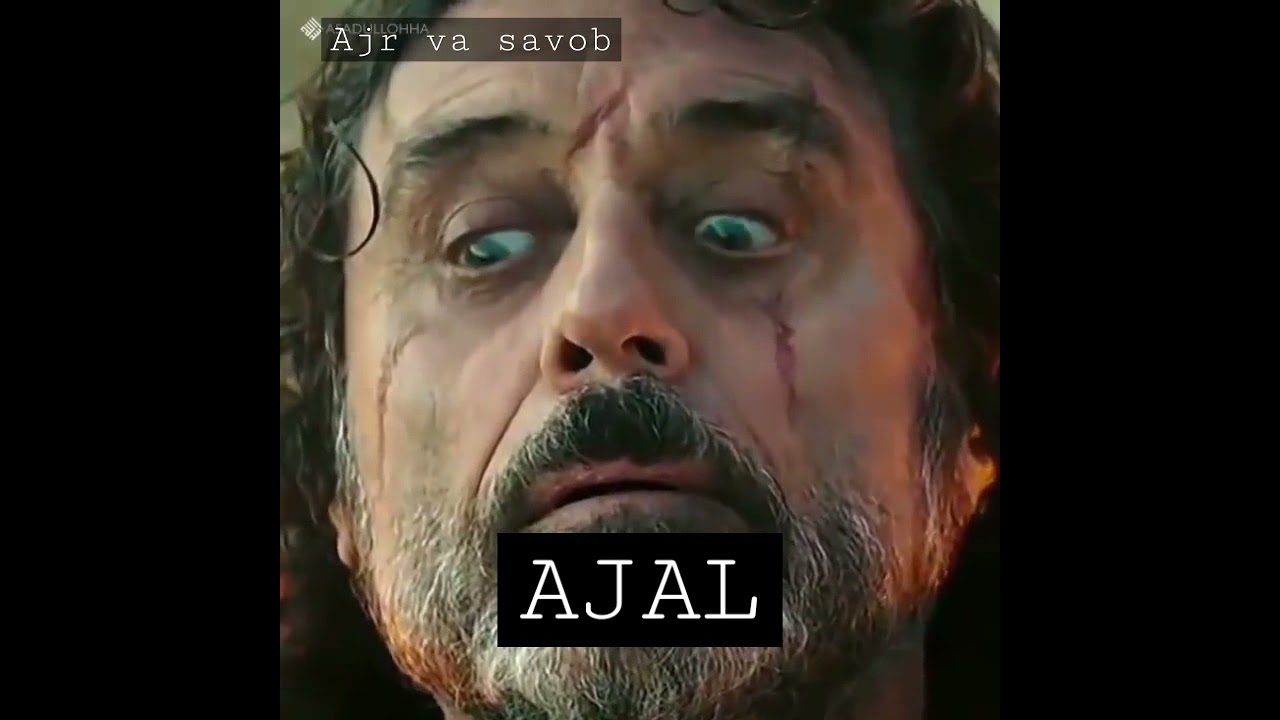 AJAL KELISHI