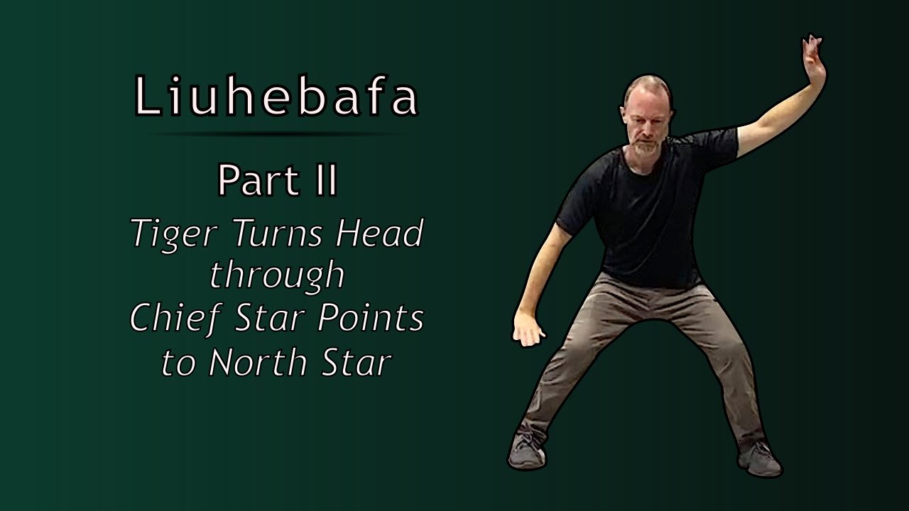 Liuhebafa (lok hup ba fa) Part 2: Moves 32 - 49